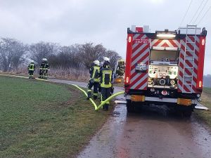 Feuer