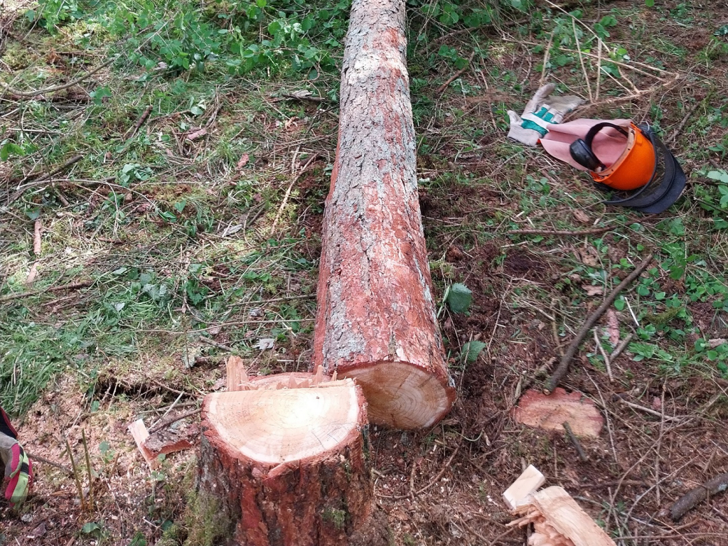 2023-05-28_ak_ausb_lehrgaenge