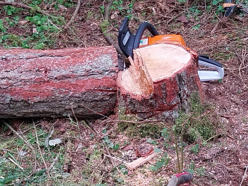 2023-05-28_ak_ausb_lehrgaenge