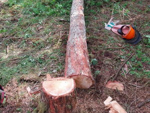 2023-05-28_ak_ausb_lehrgaenge