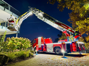 2025-11-03_lz_mab_dlk